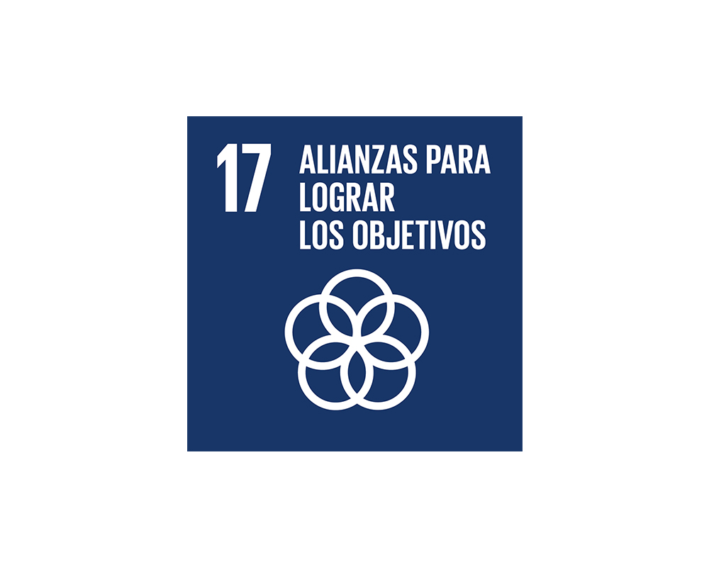 Logo ODS Alianzas para lograr los objetivos