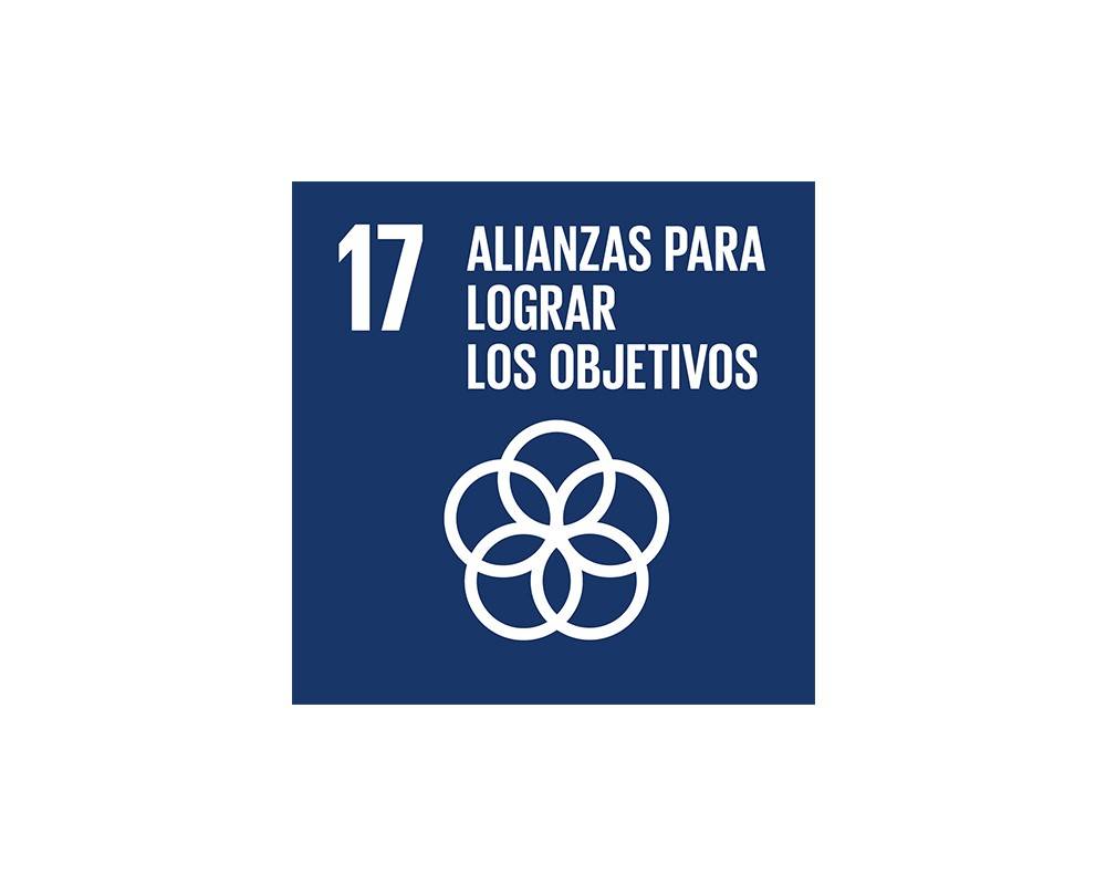 Logo ODS 17