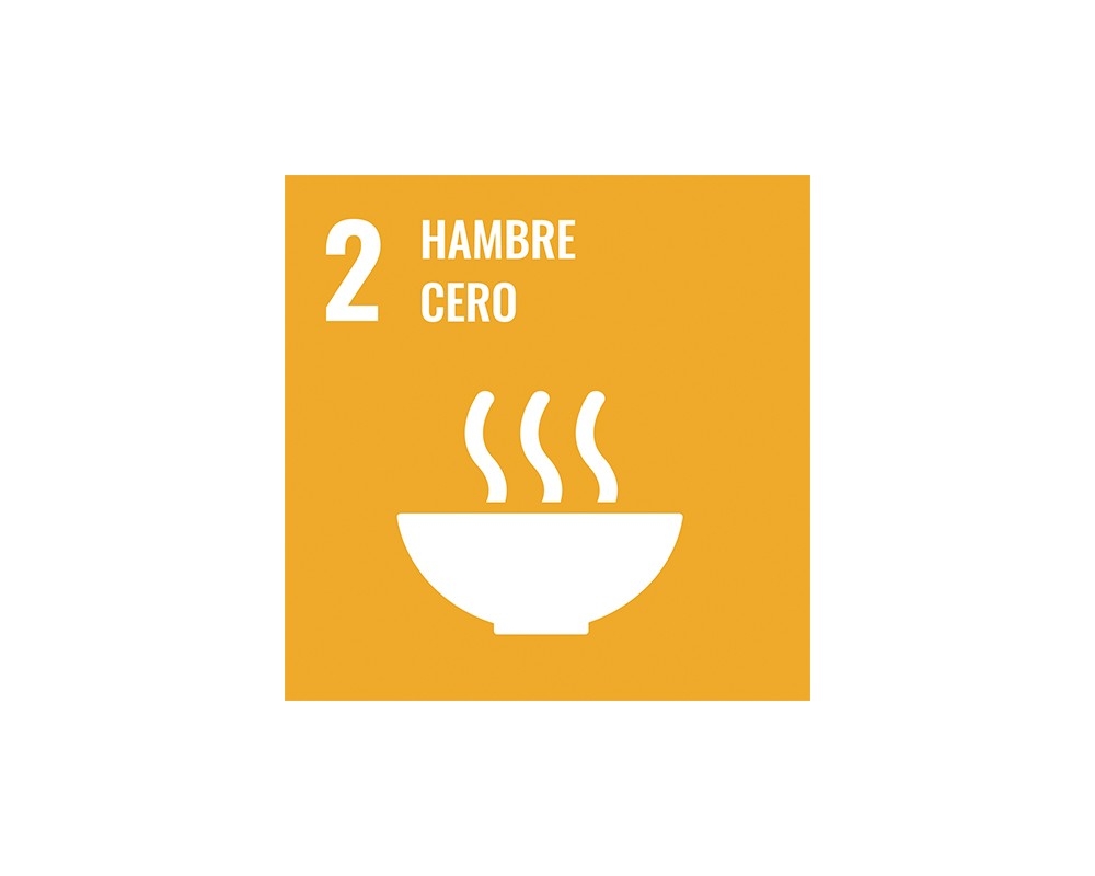 SDG 2 Logo