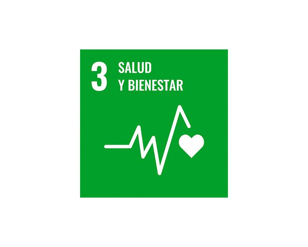 SDG 3 Logo