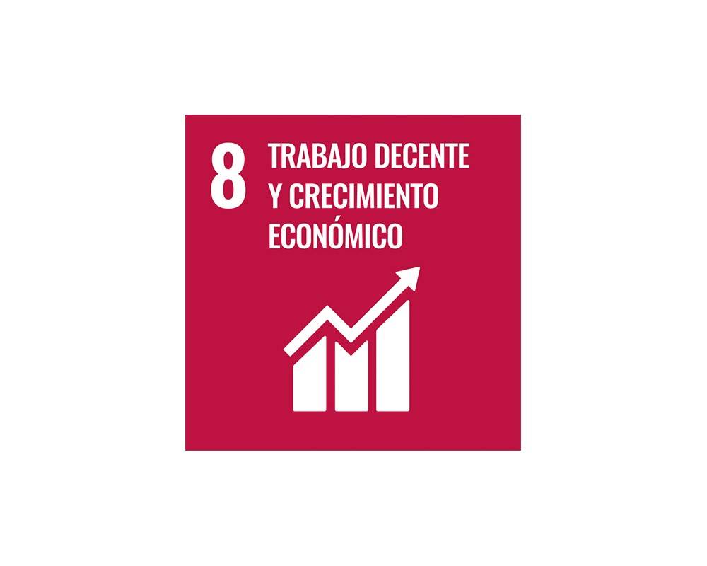 SDG 8 Logo