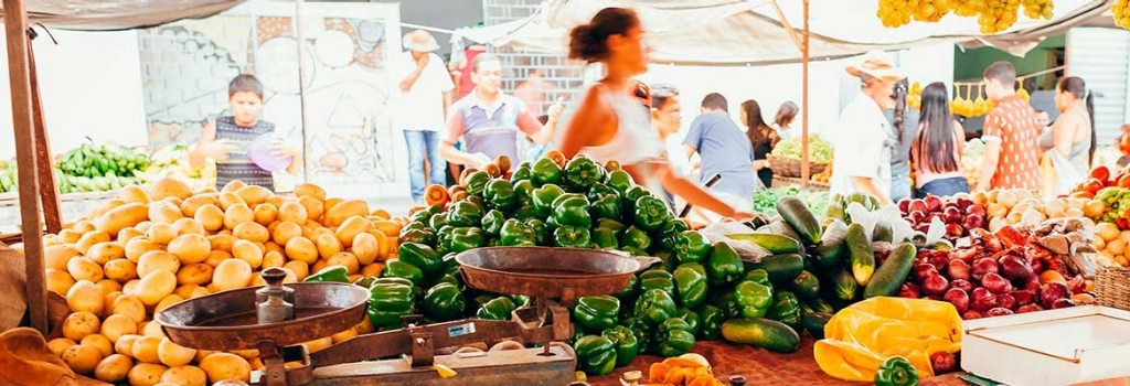 Close-up view of a container full of fruit