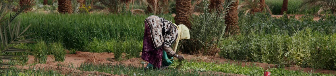 Una mujer agachada trabajando en el campo 