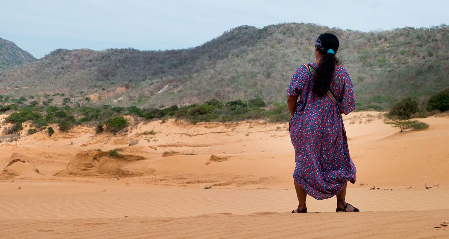 The back of a woman walking in the desert