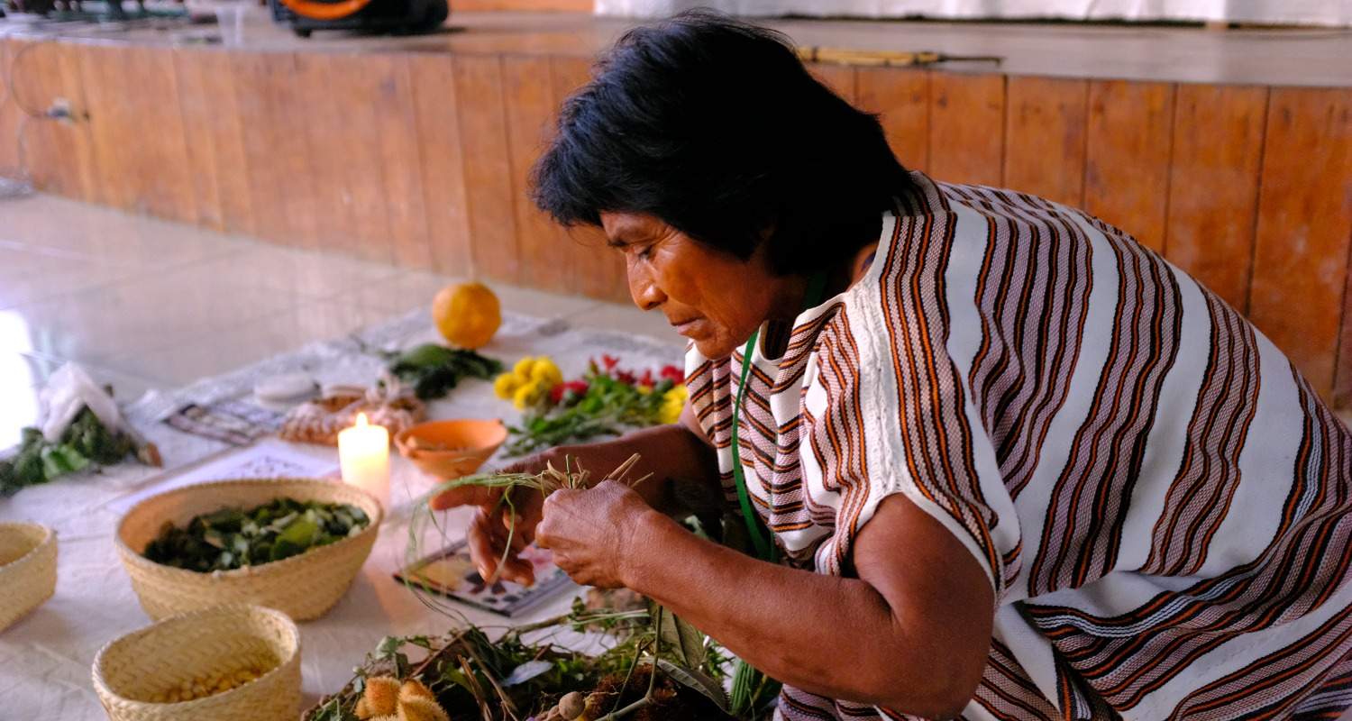 An indigenous woman making traditional medicine with plants.