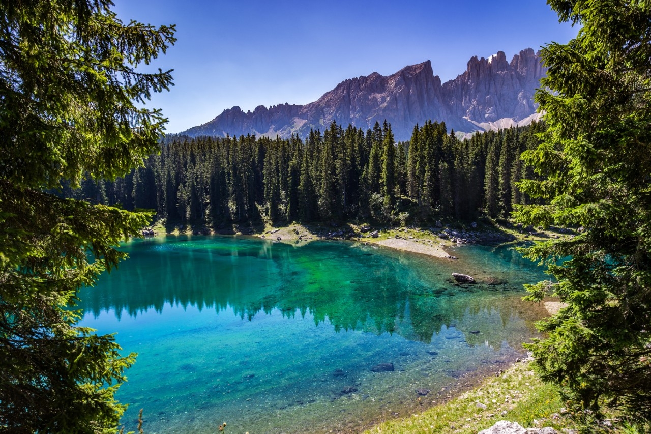 un paisaje natural de un bosque simbolizando las Soluciones Basadas en la Naturaleza