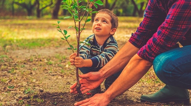 niño plantando un árbol con su padre