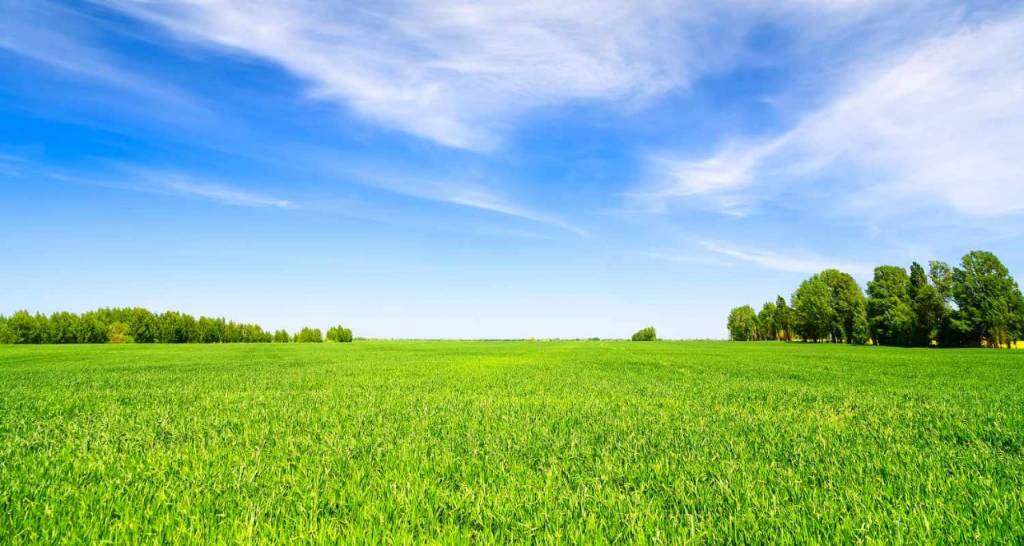 Vista de un paisaje de un campo en un cielo azul