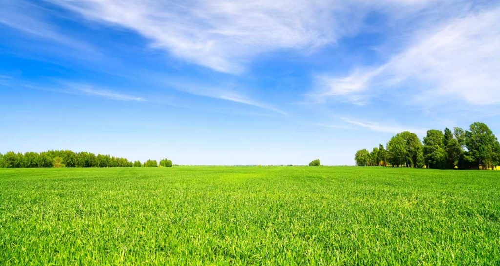 View of a landscape of a field with blue skies