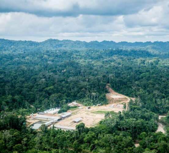 Aerial view of a jungle landscape