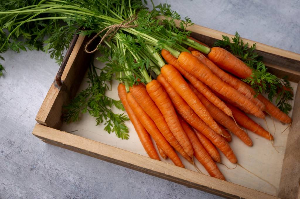 zanahorias, productios bio