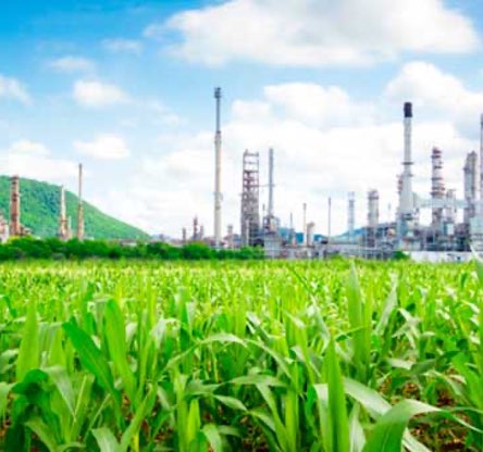 Shot of a refinery surrounded by greenery