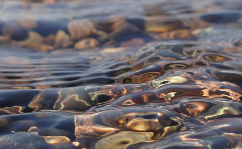 Detalle de un río 