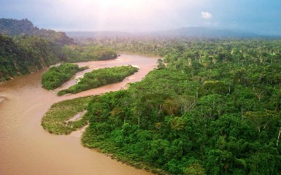Shot of a river running through the Amazon forest