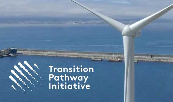 transition pathway