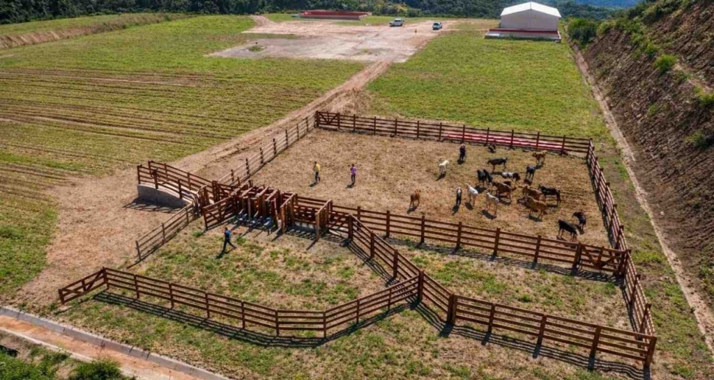 Vista actual del pozo Buyx2