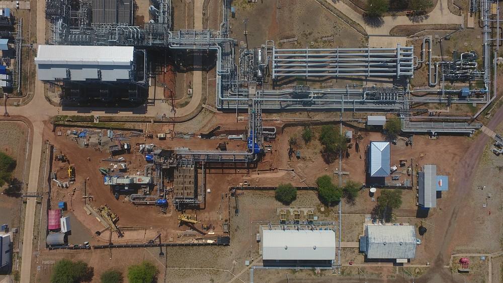 Margarita plant aerial view