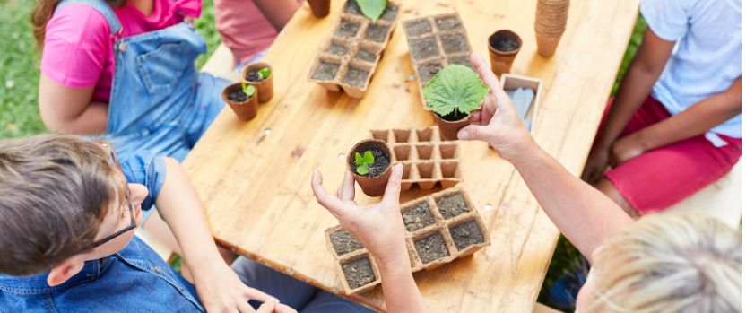 educacion ambiental