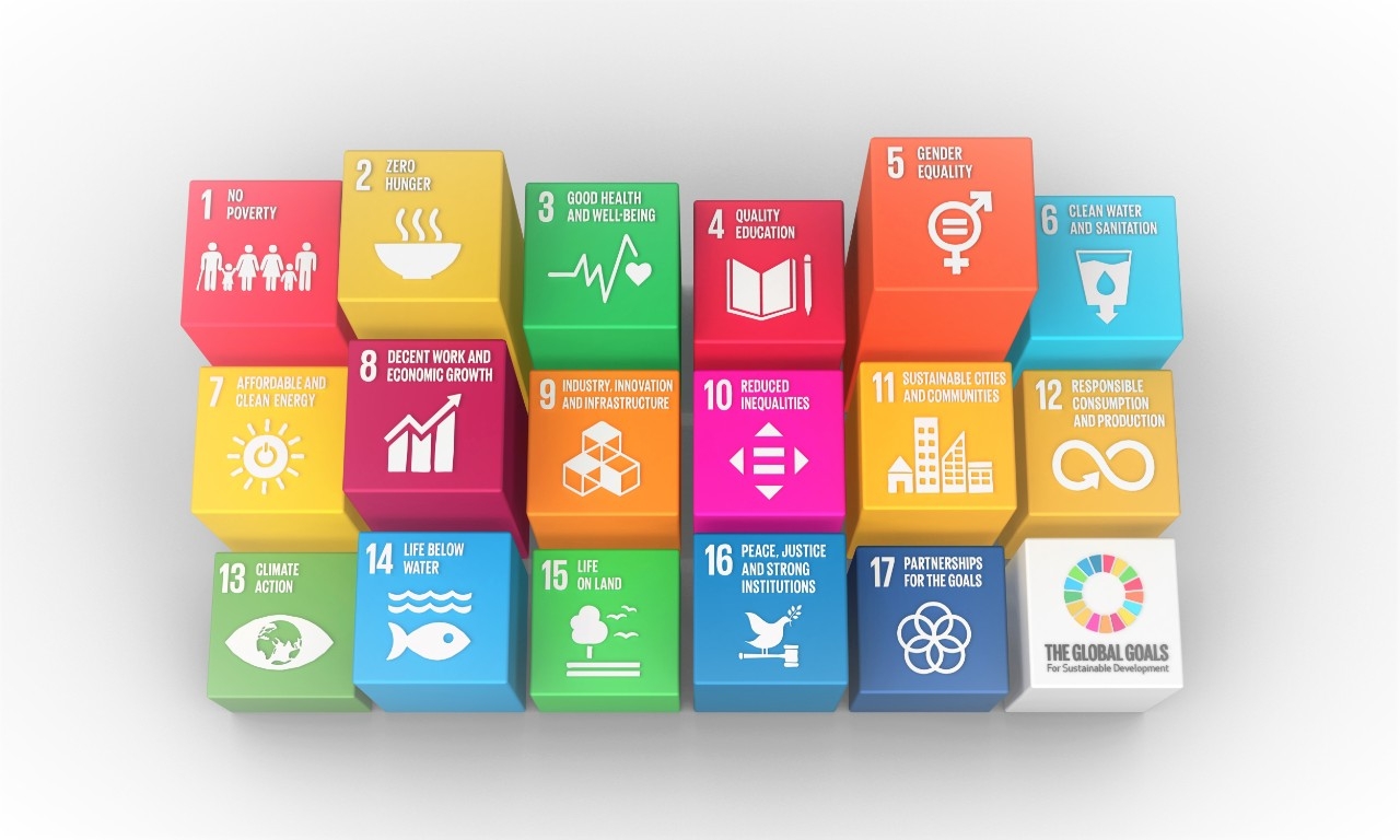 the 17 Sustainable Development Goals (SDGs)