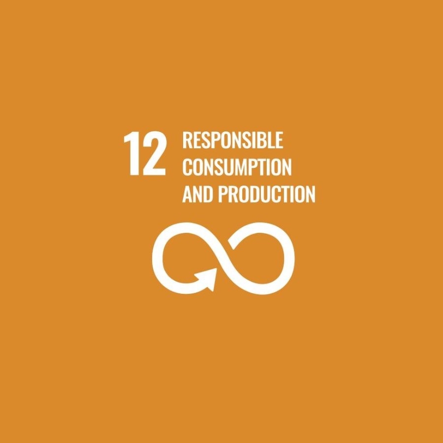 SDG 12 Responsible consumption and production