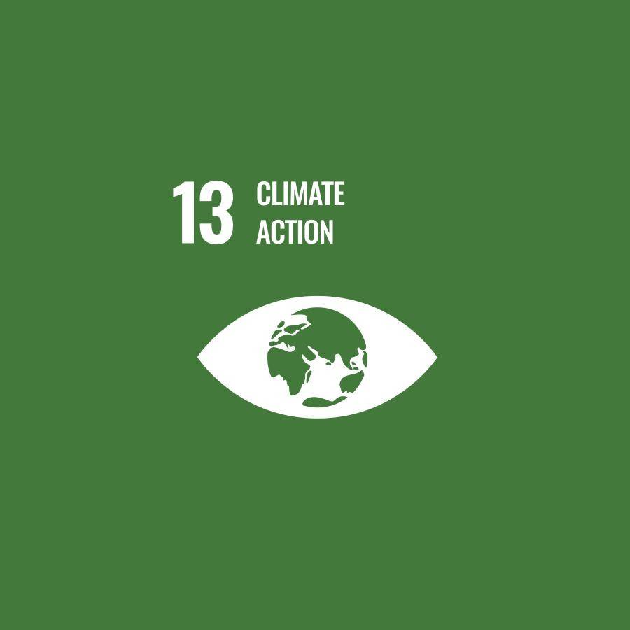 SDG 13 Climate action