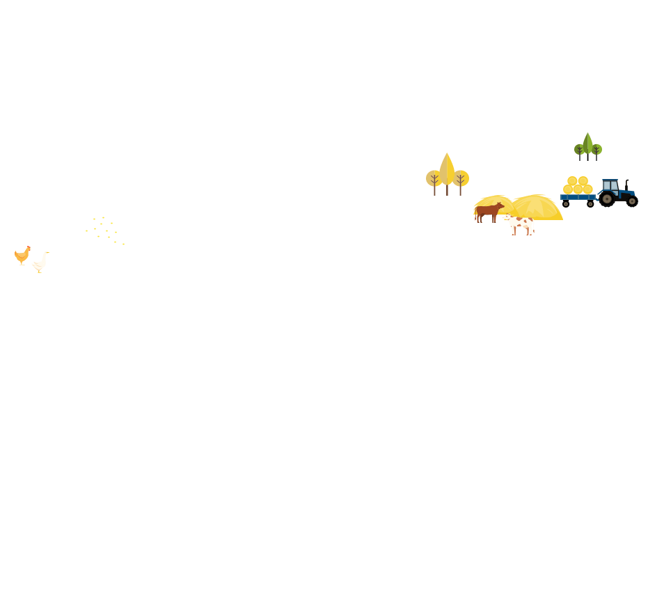 Animales pastando Animales pastando