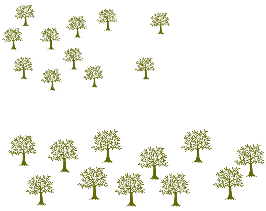 Olivos Olivos