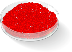 Antiozonant wax