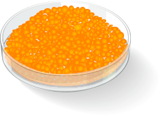 Antiozonant wax